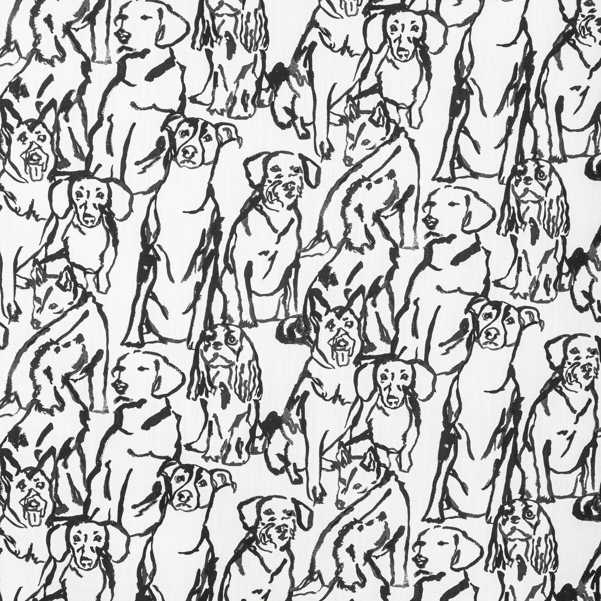 Kravet Basics-Buddy-1101