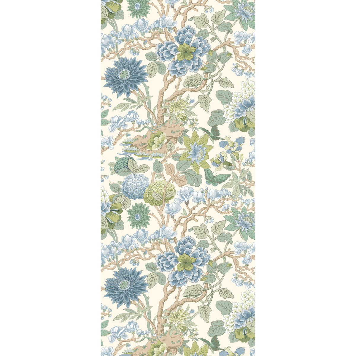 Little Magnolia-Willow