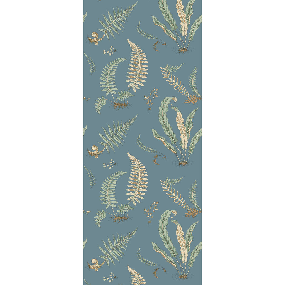 Ferns-Denim
