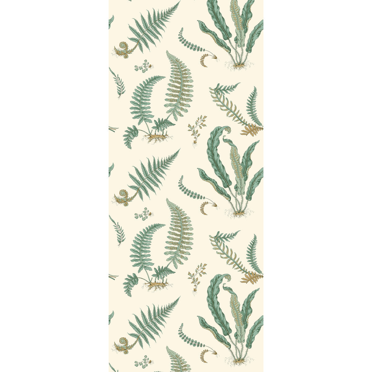 Ferns-Verdigris