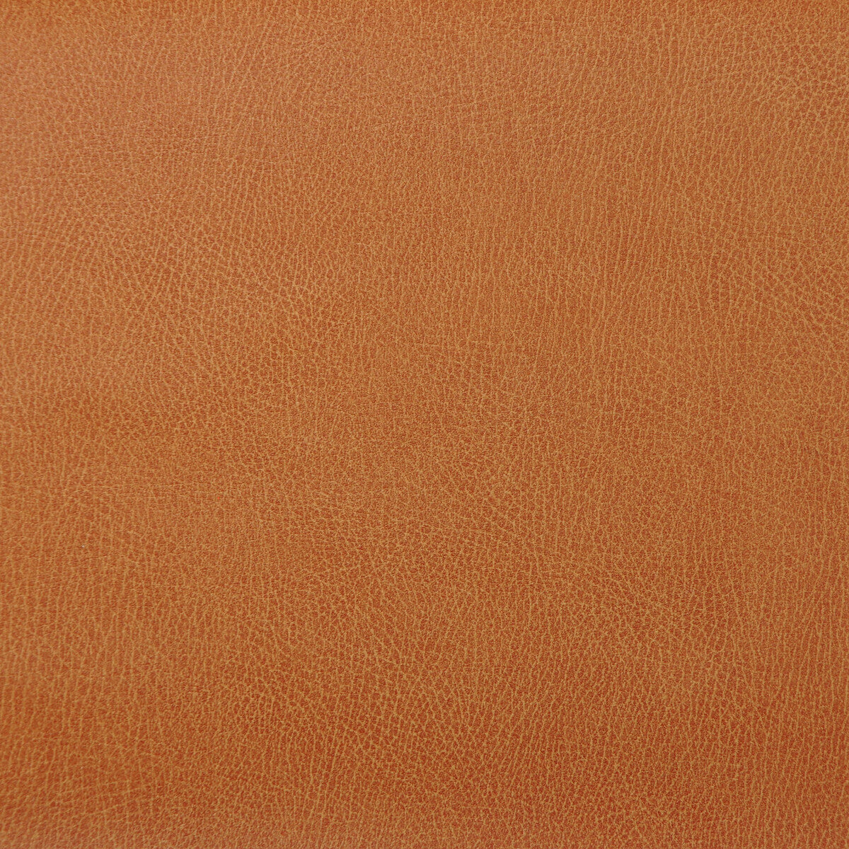 Kravet Design-Caswell-12