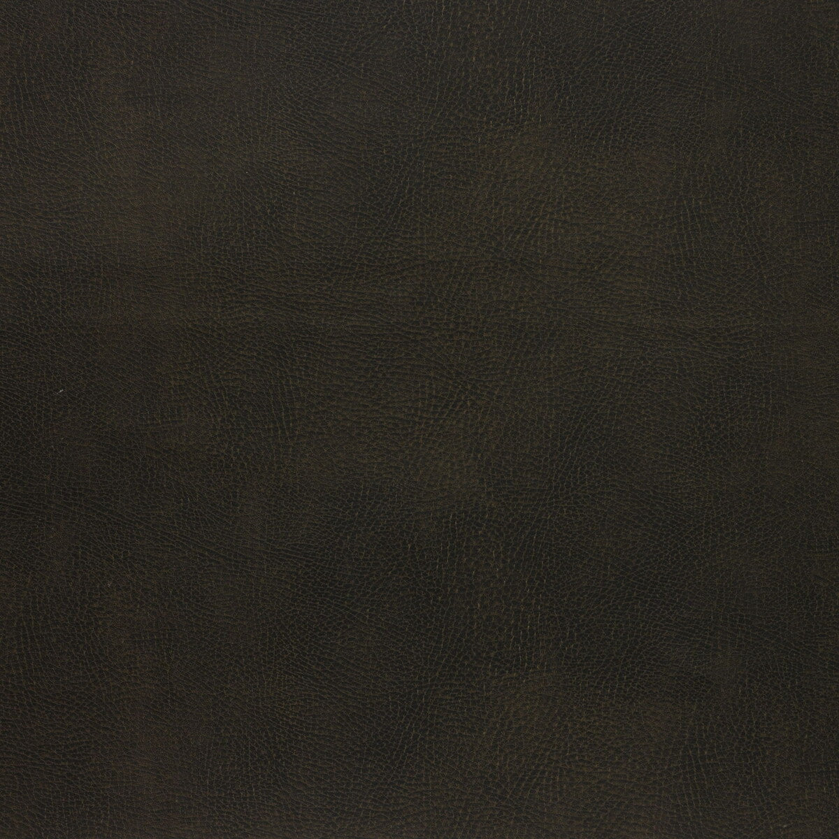 Kravet Design-Caswell-66