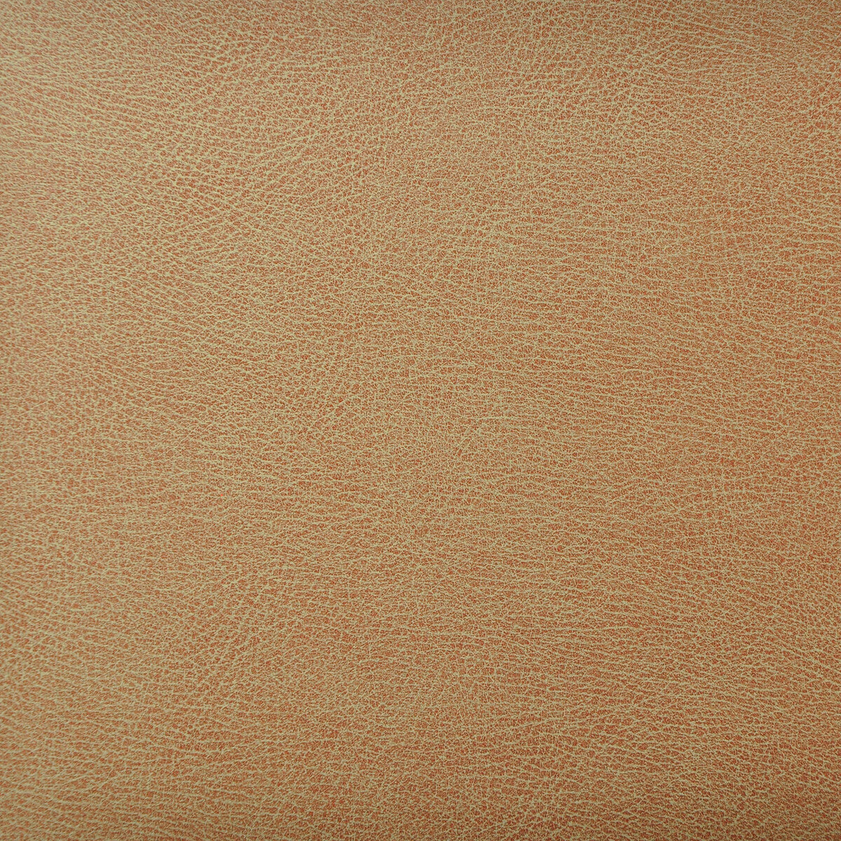 Kravet Design-Caswell-6