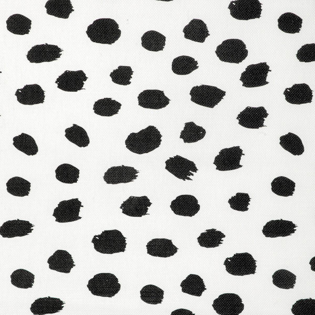 Paint Dot-Black/Oyster