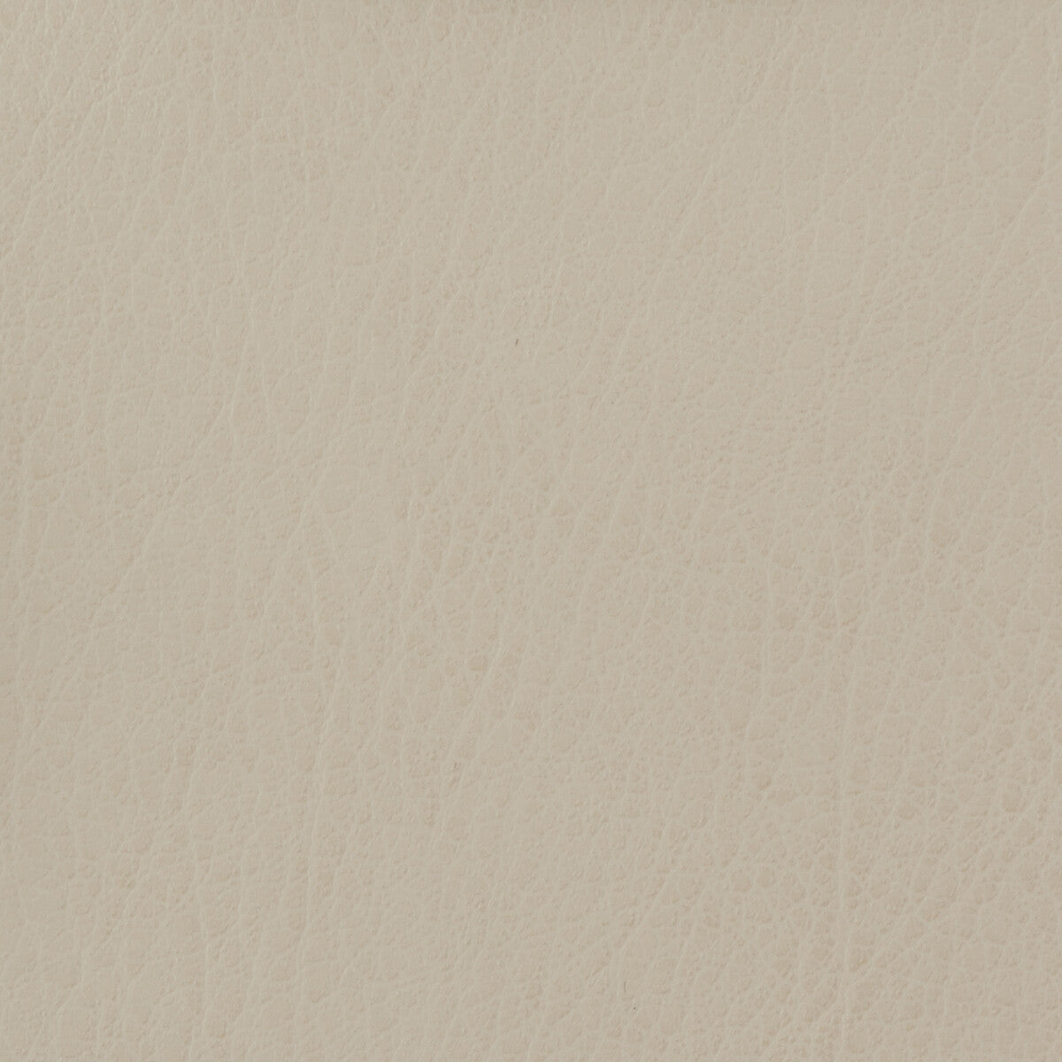 Kravet Basics-Celine-111