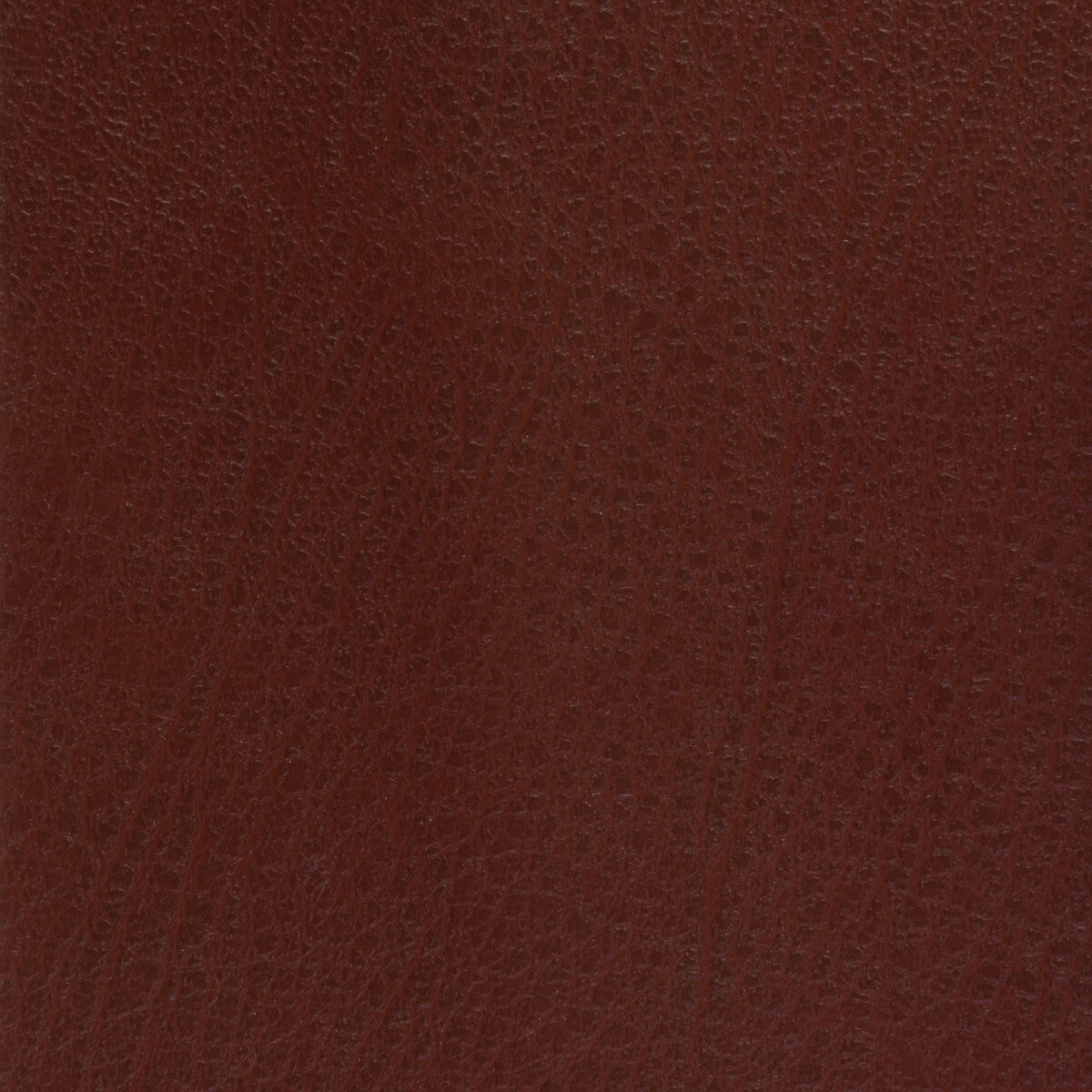 Kravet Basics-Celine-9