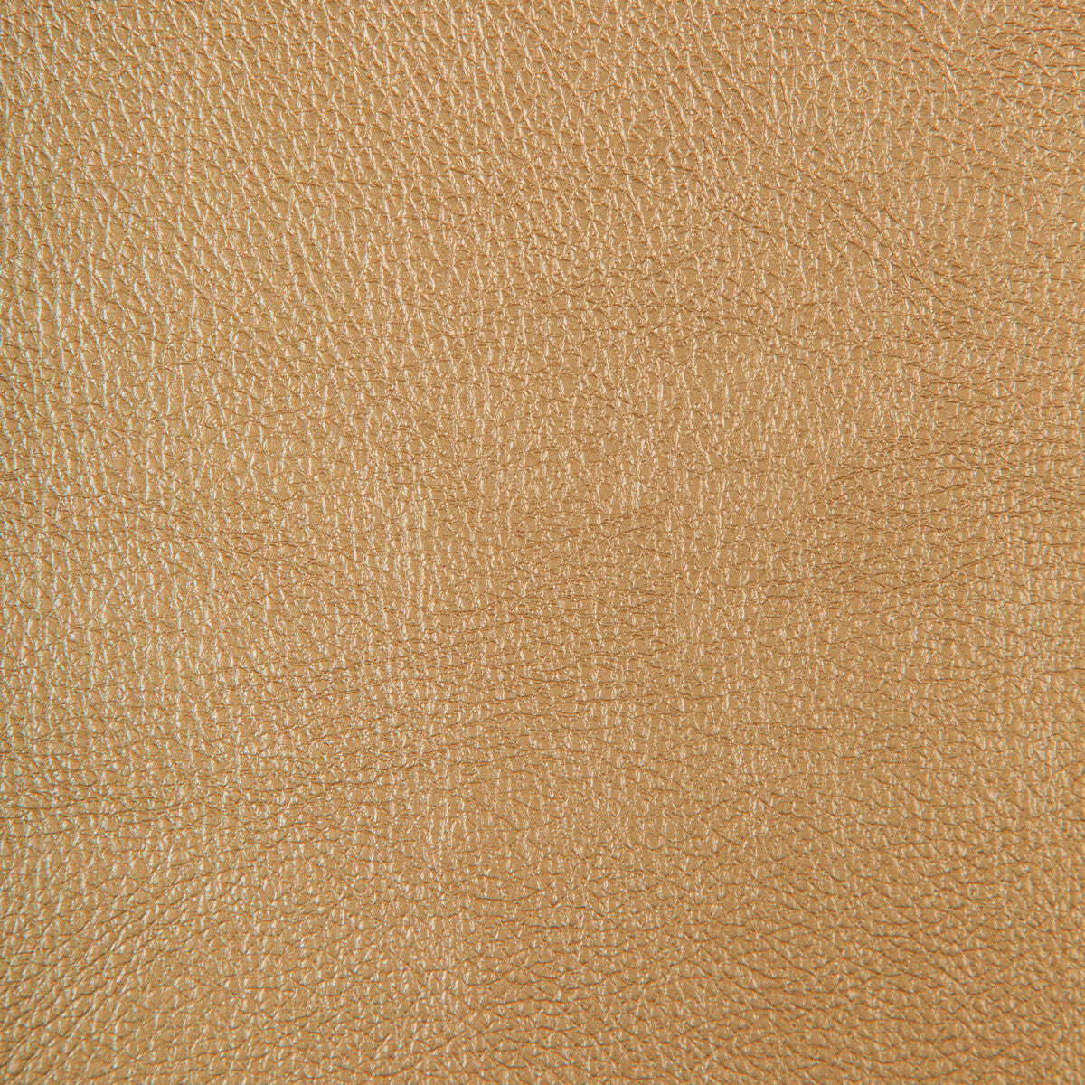 Kravet Design-Chrome-106