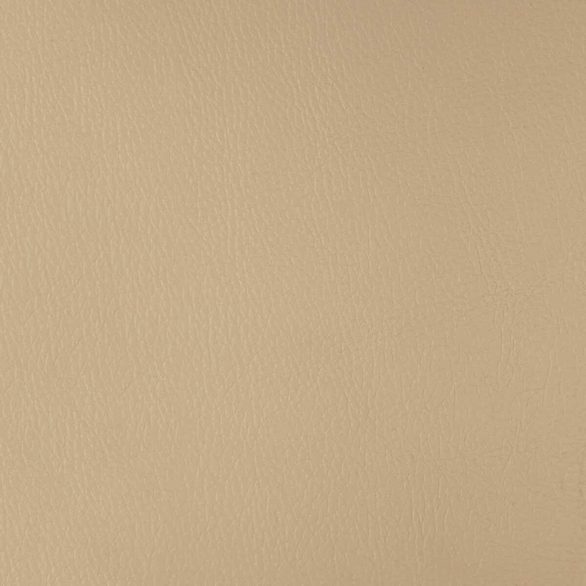 Kravet Design-Chrome-121