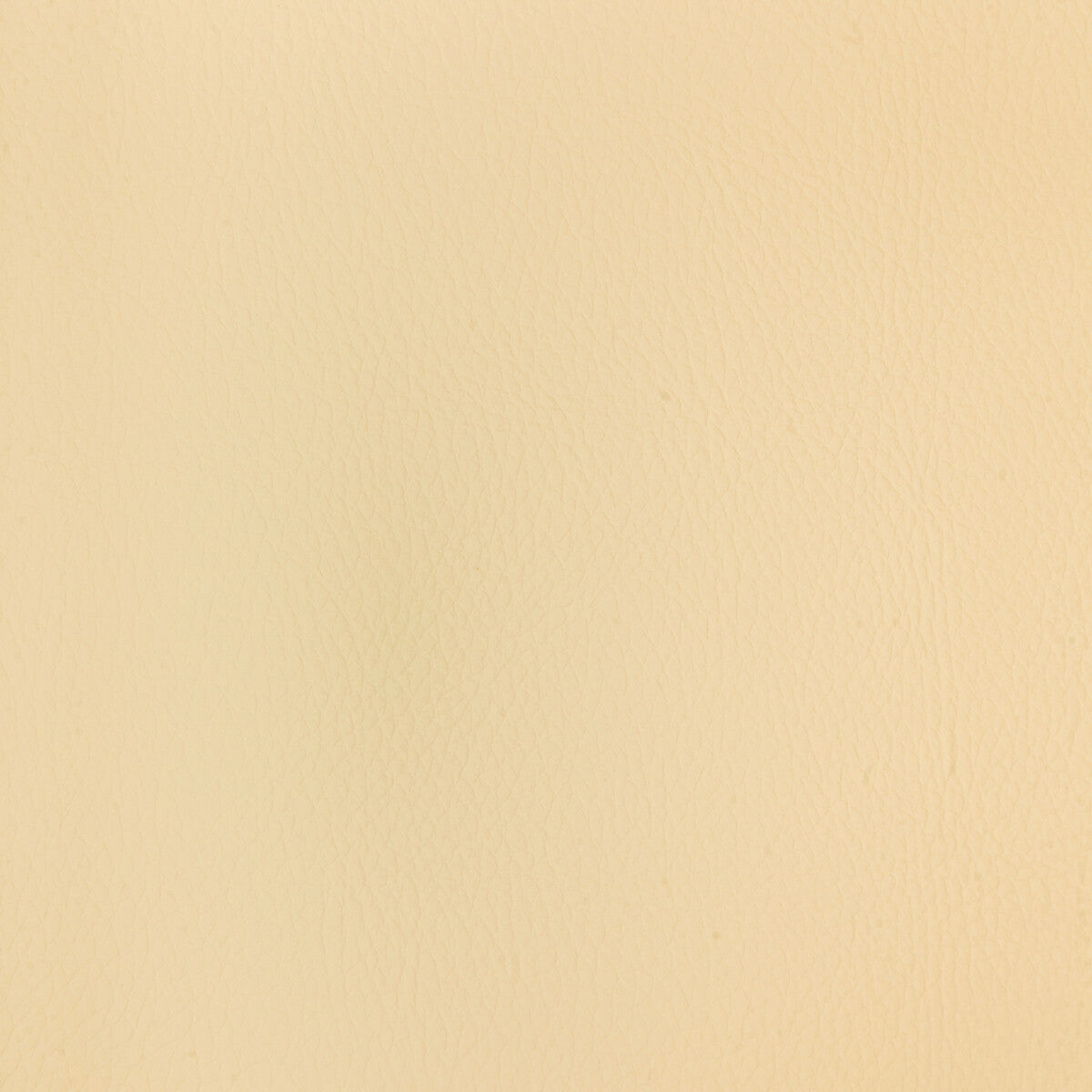 Kravet Design-Chrome-1