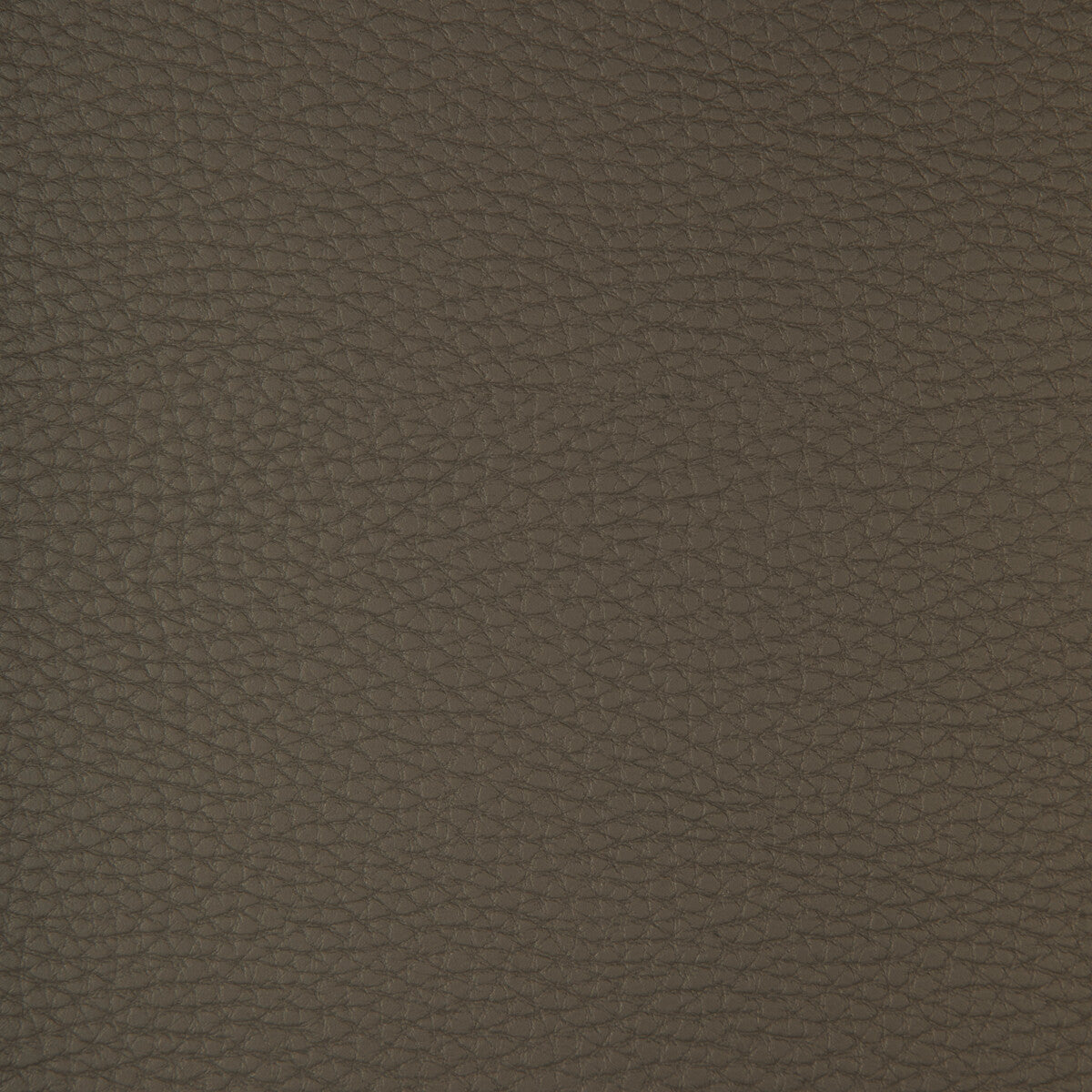 Kravet Design-Connect-21