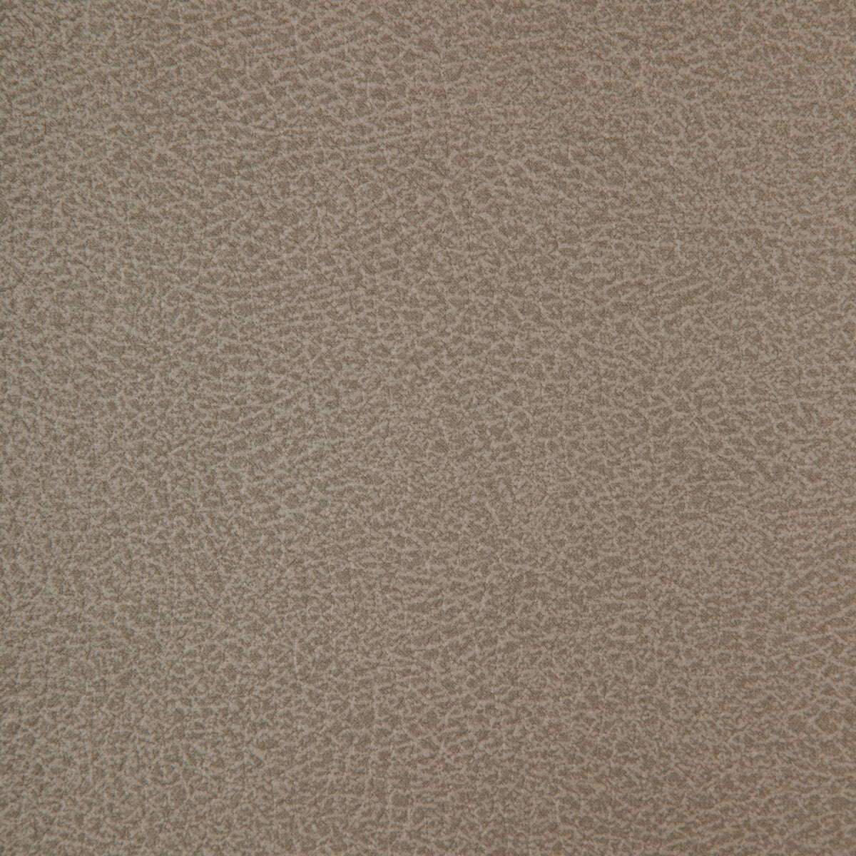 Kravet Design-Crisp-11