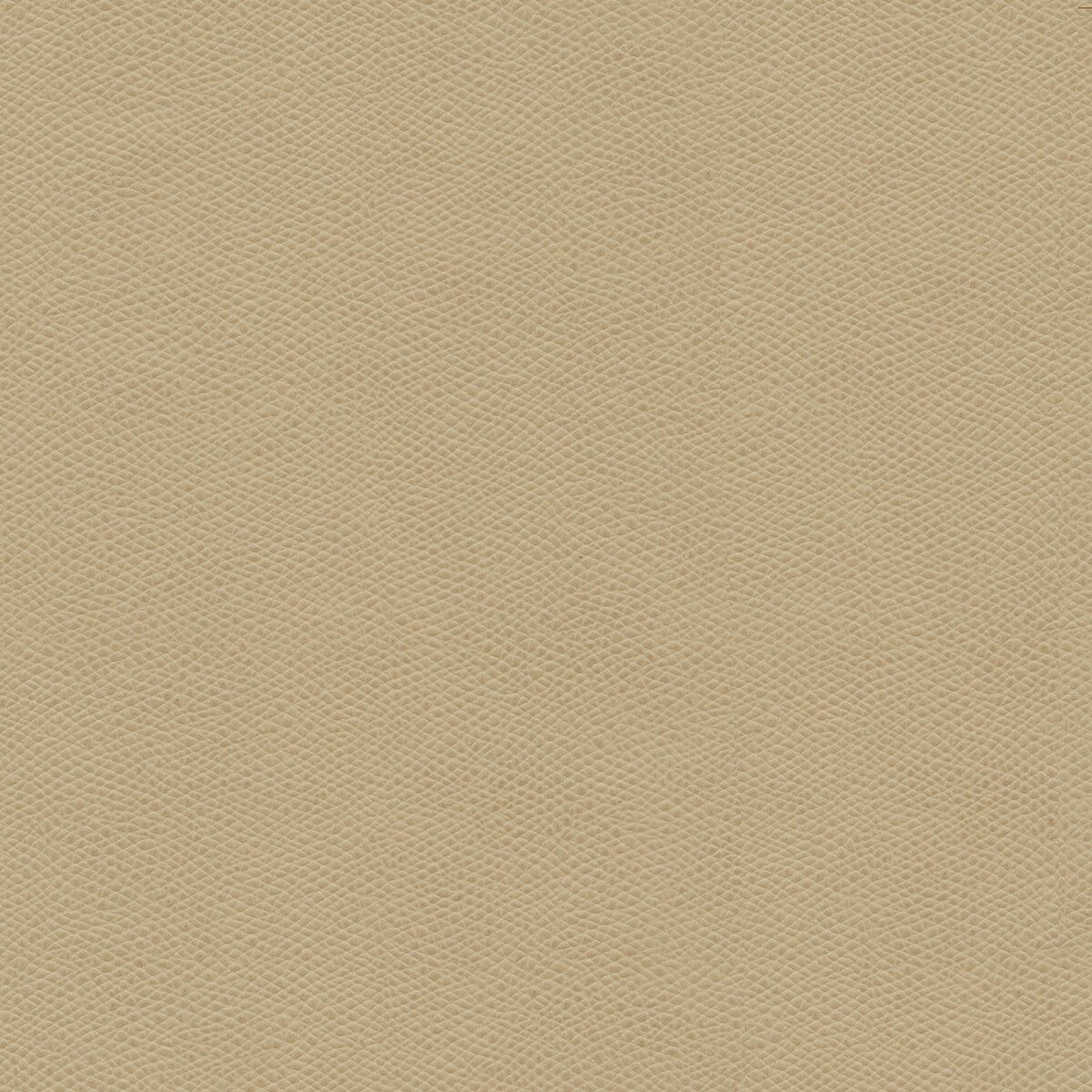 Kravet Design-Cured-106