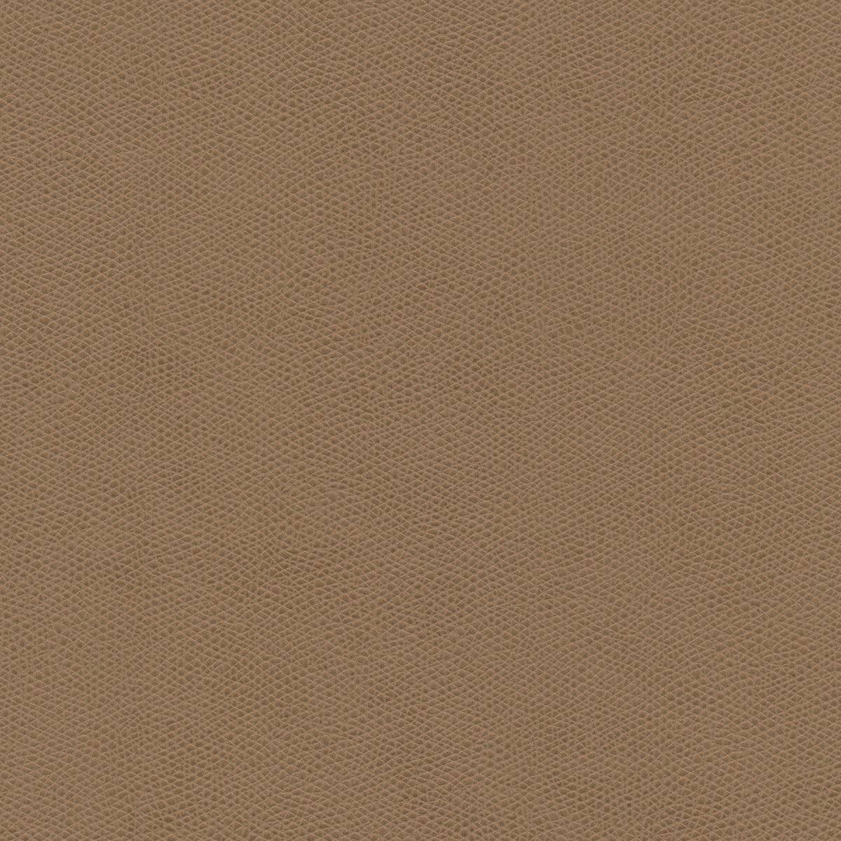 Kravet Design-Cured-11