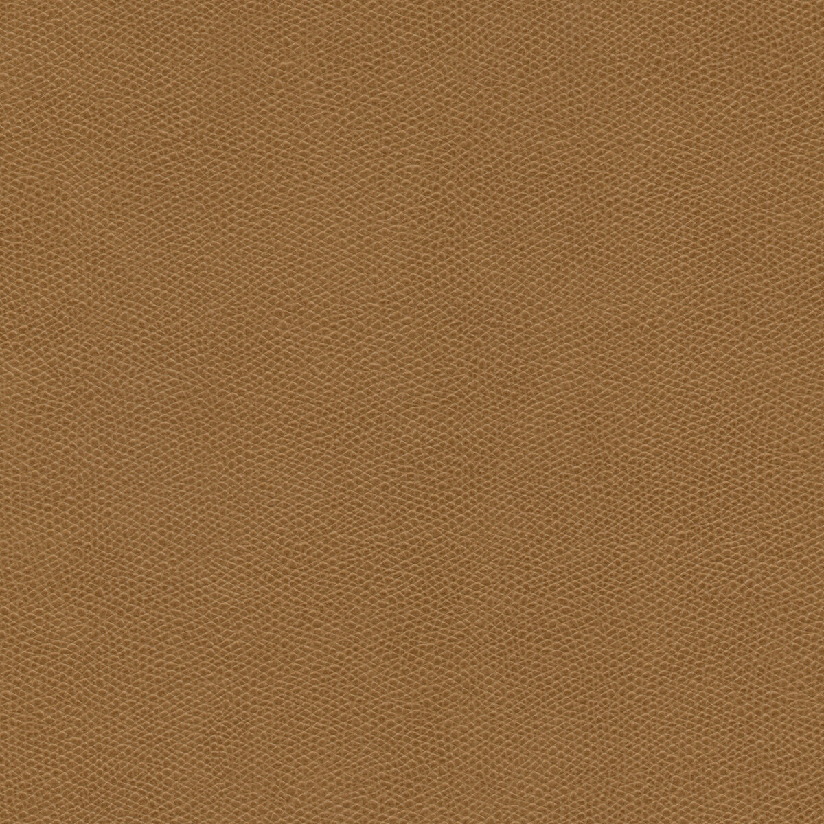 Kravet Design-Cured-166