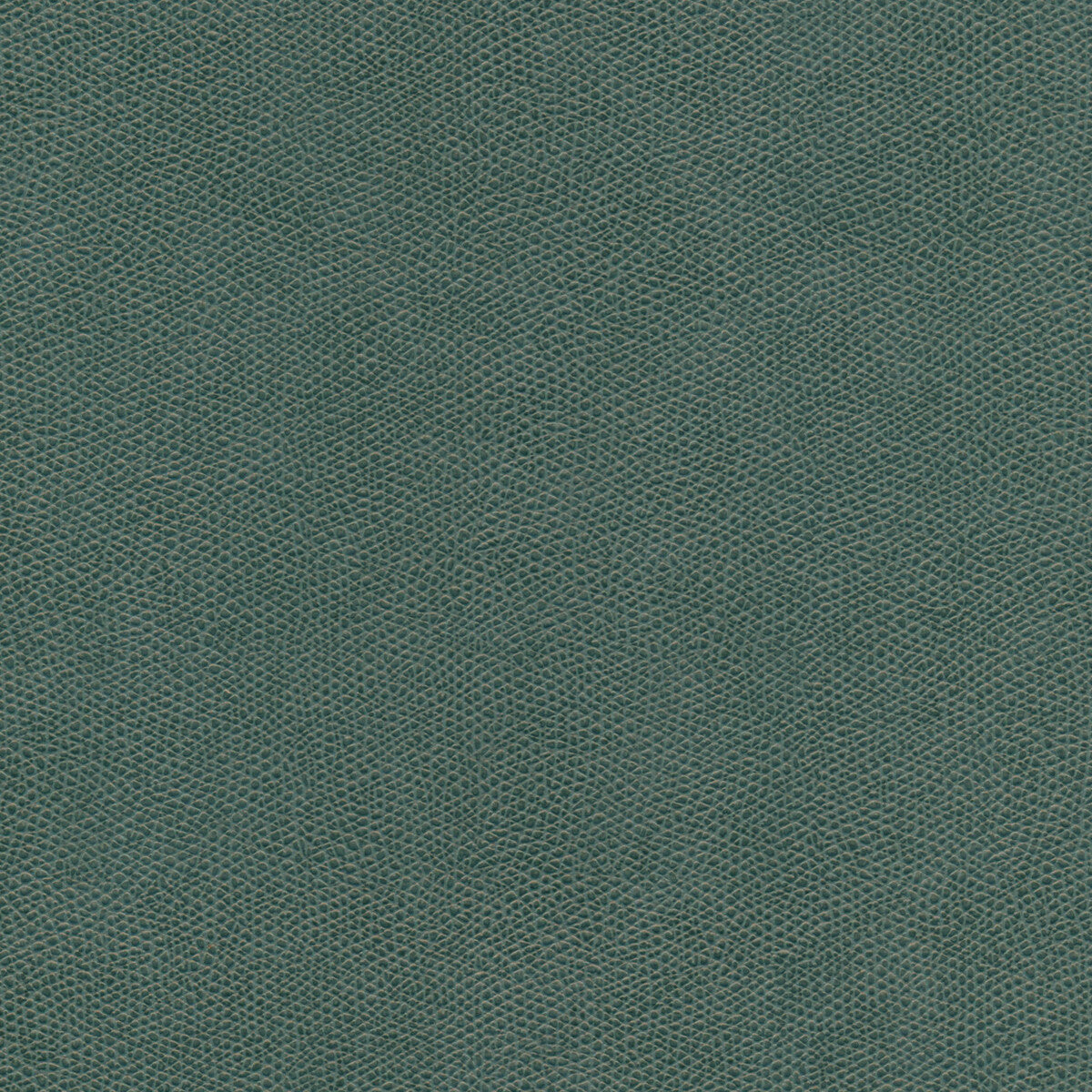 Kravet Design-Cured-35