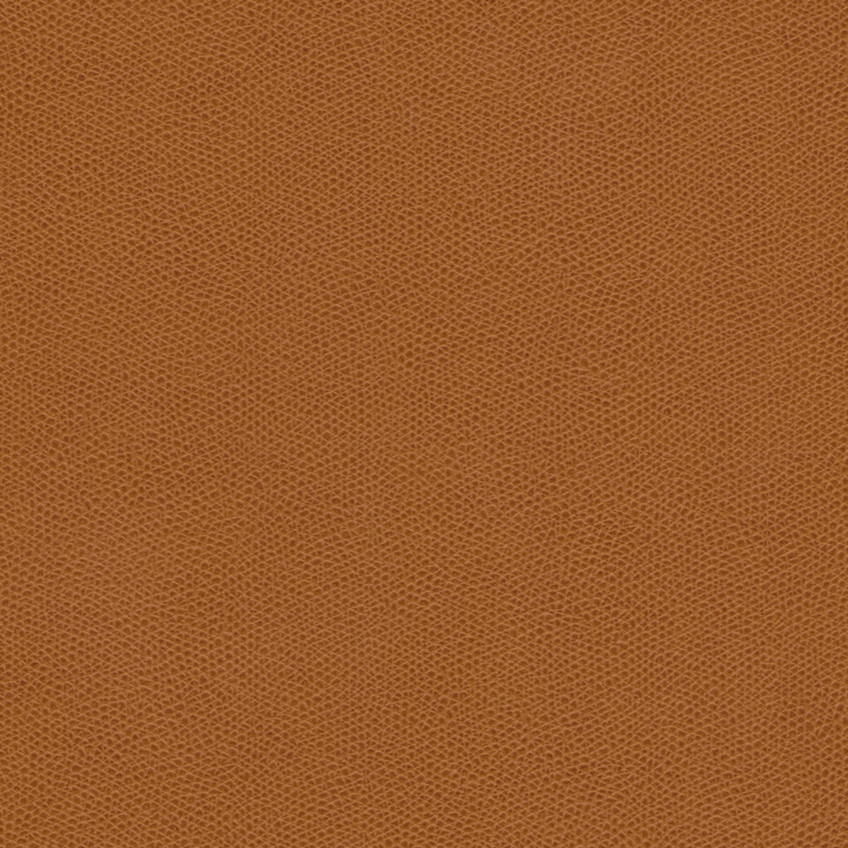 Kravet Design-Cured-6