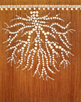 Curio Coral Wallpaper