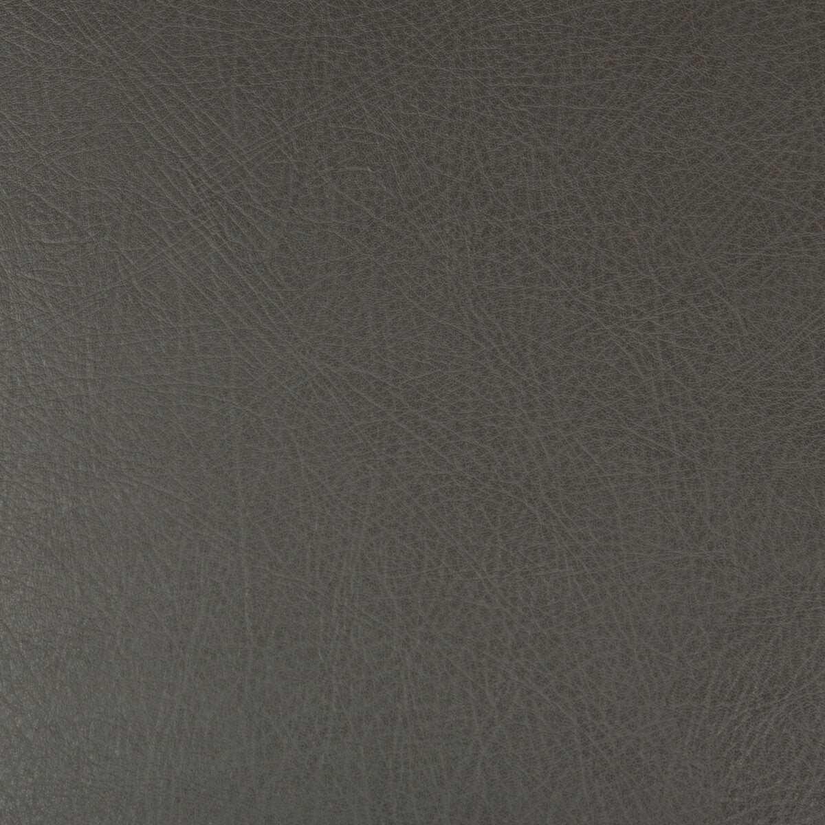 Kravet Design-Deimos-21