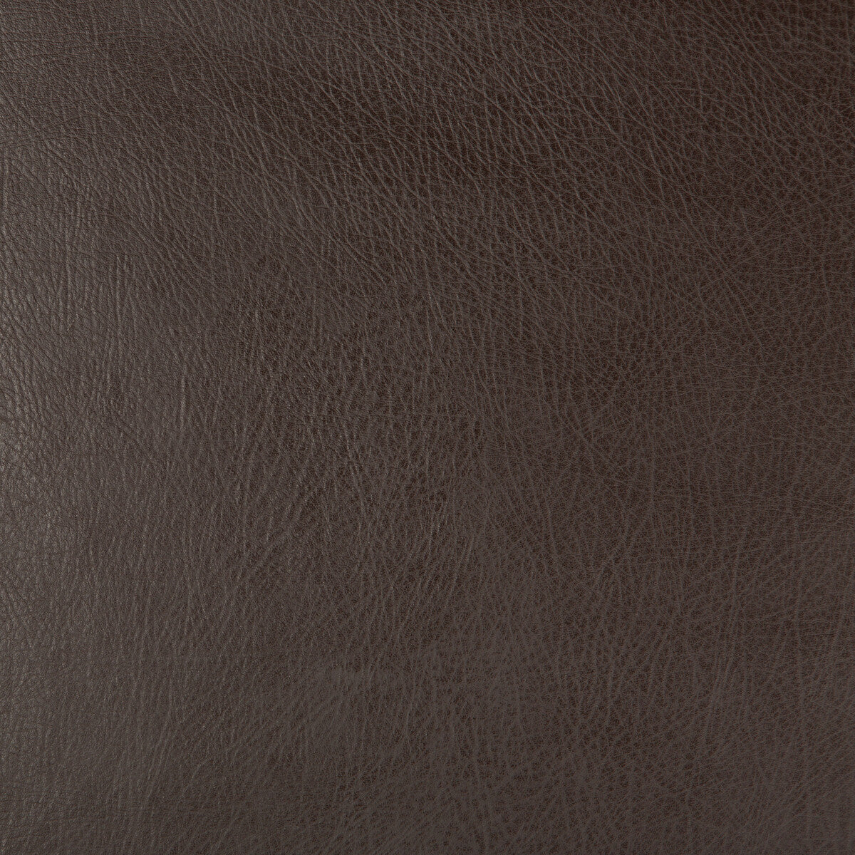 Kravet Design-Deimos-66