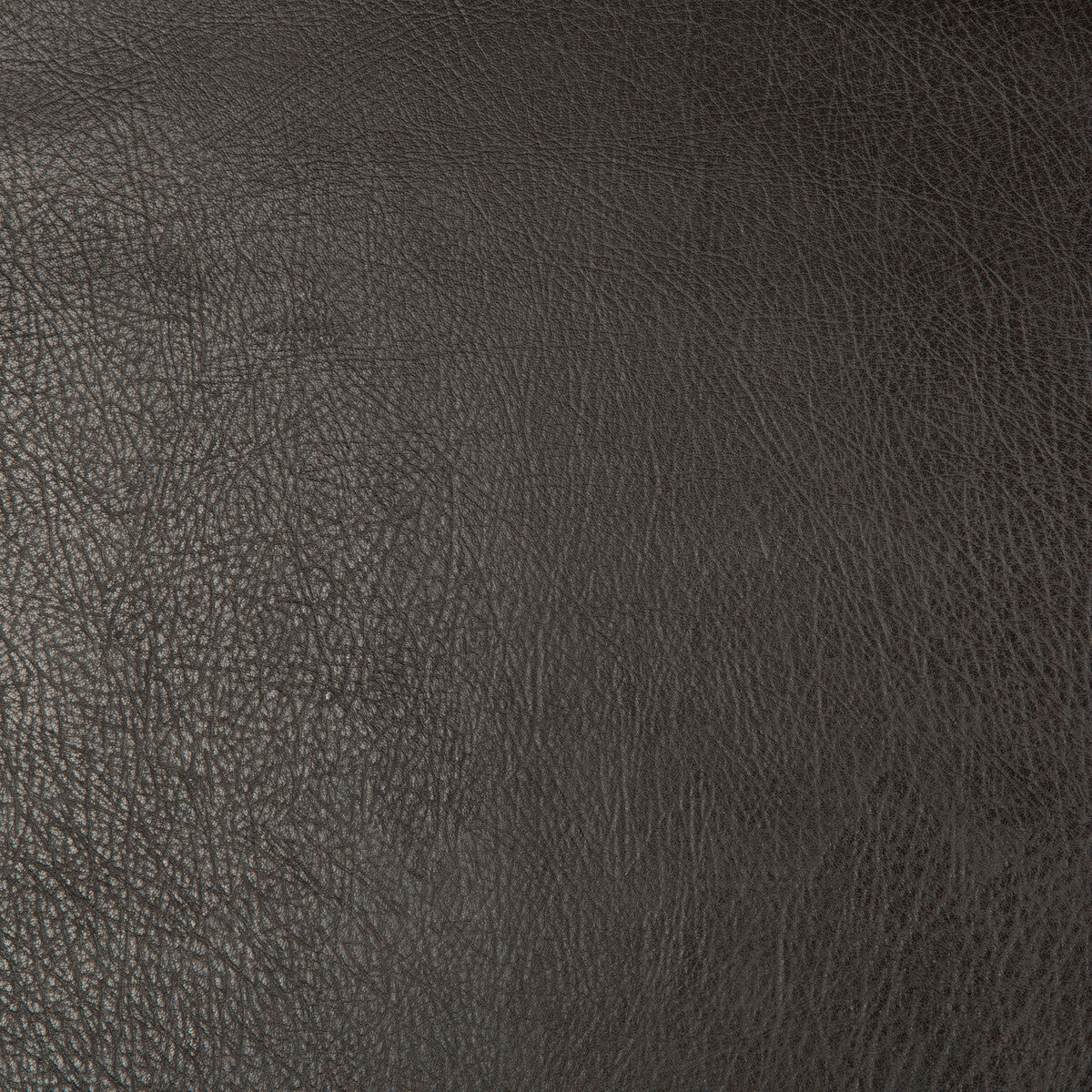 Kravet Design-Deimos-68