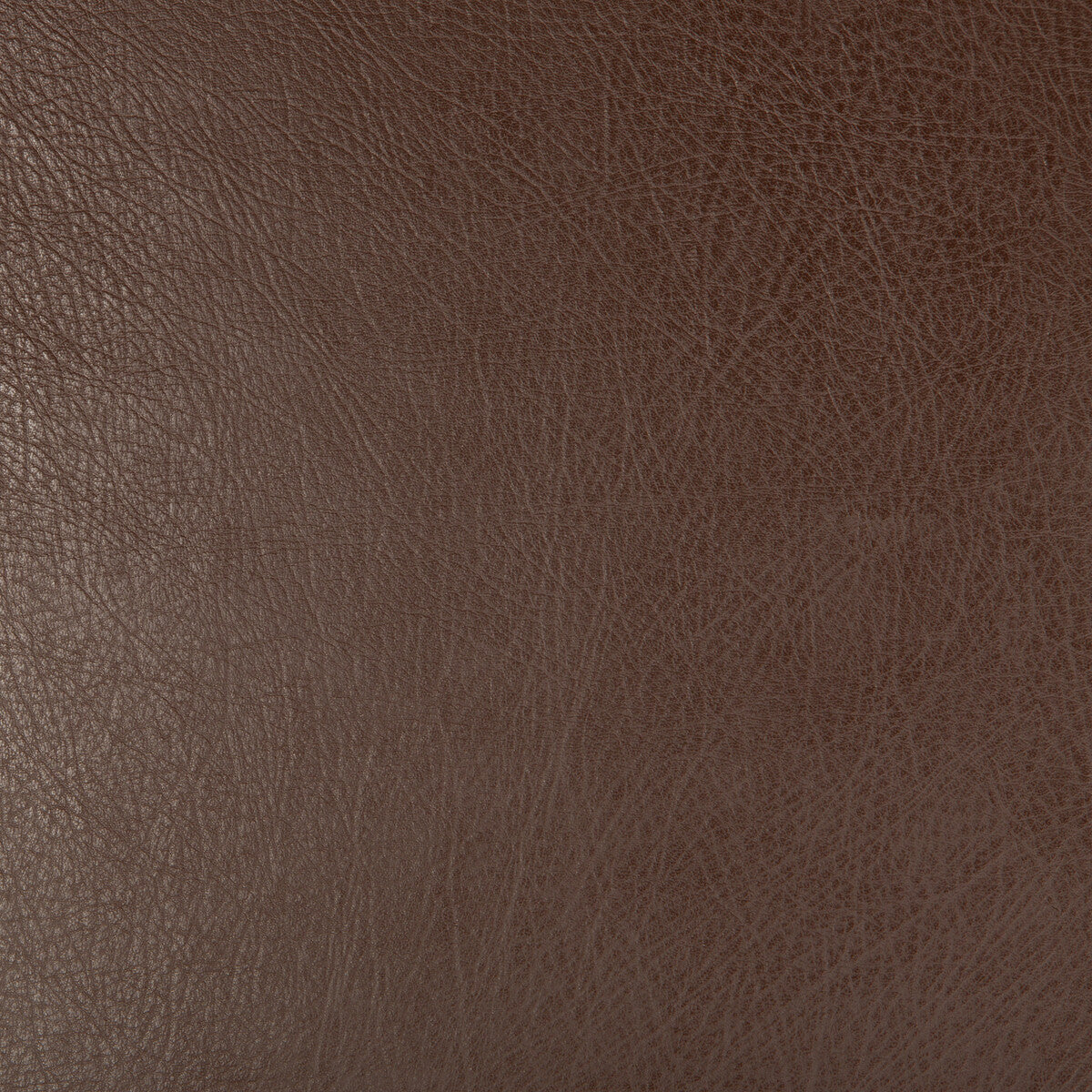 Kravet Design-Deimos-6