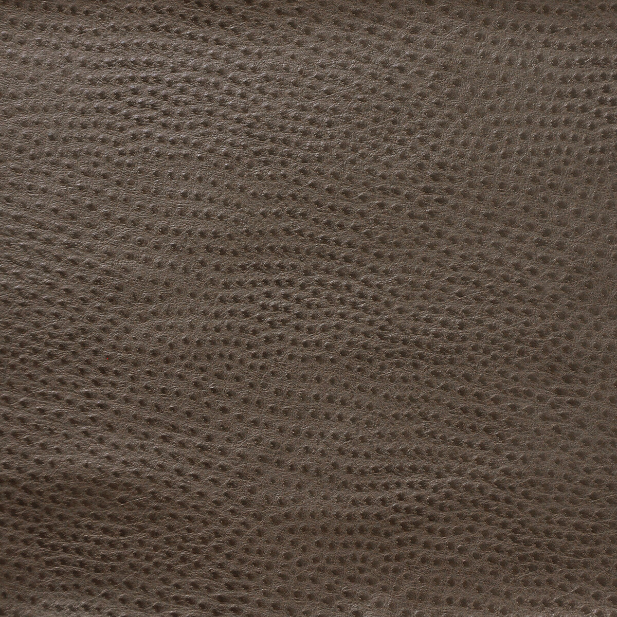 Kravet Design-Delaney-2121