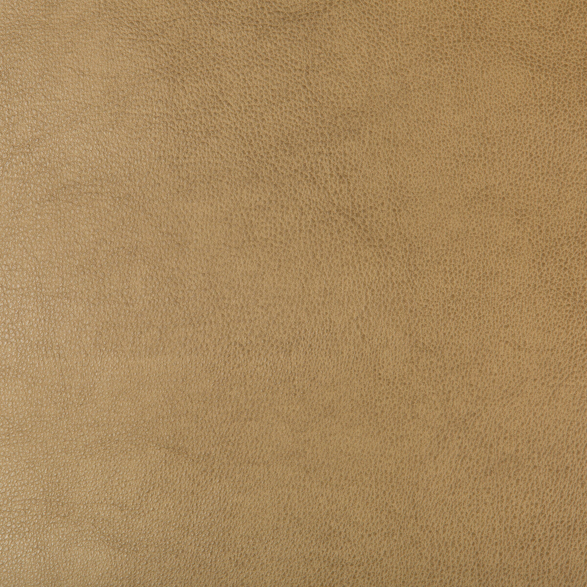 Kravet Design-Dust-106