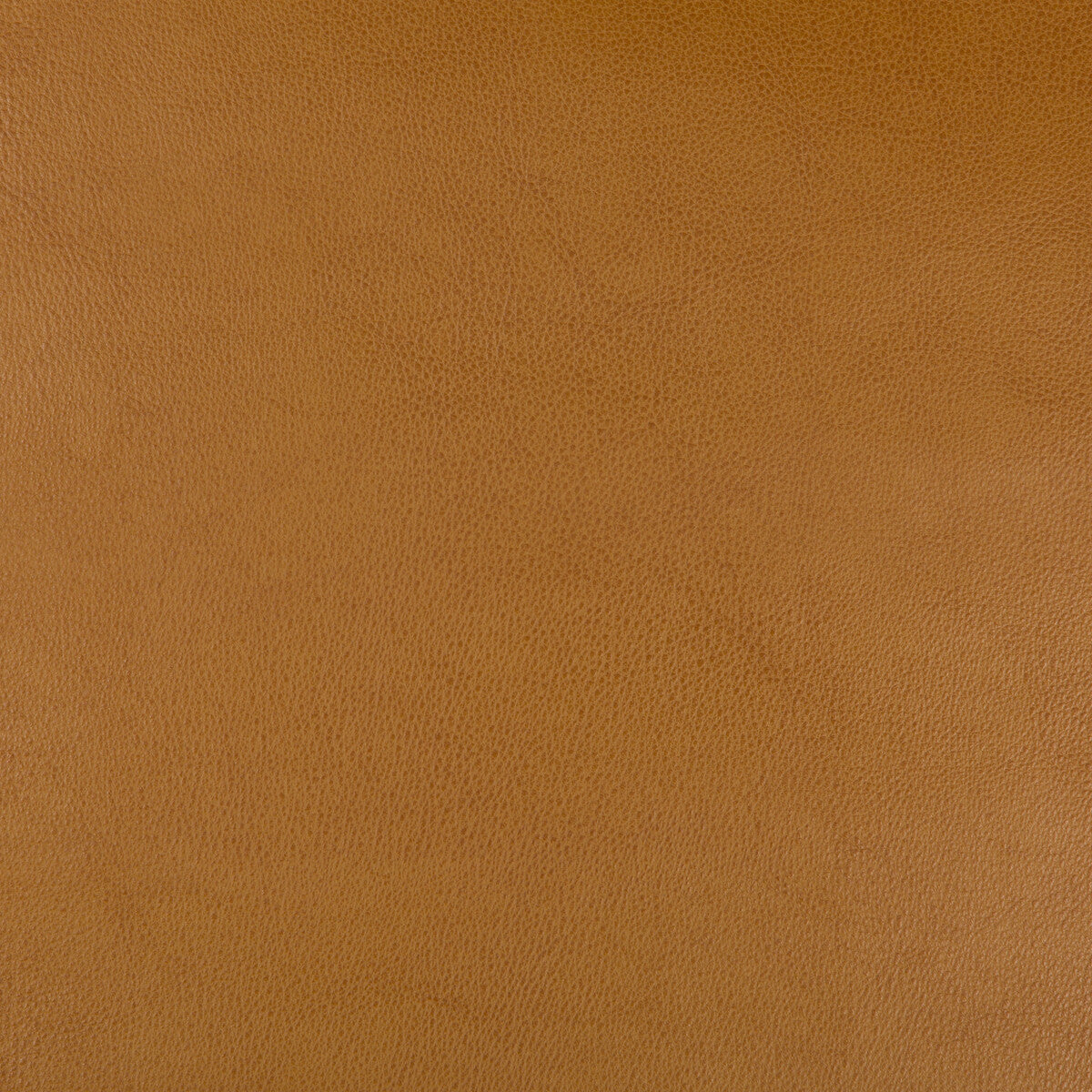 Kravet Design-Dust-624