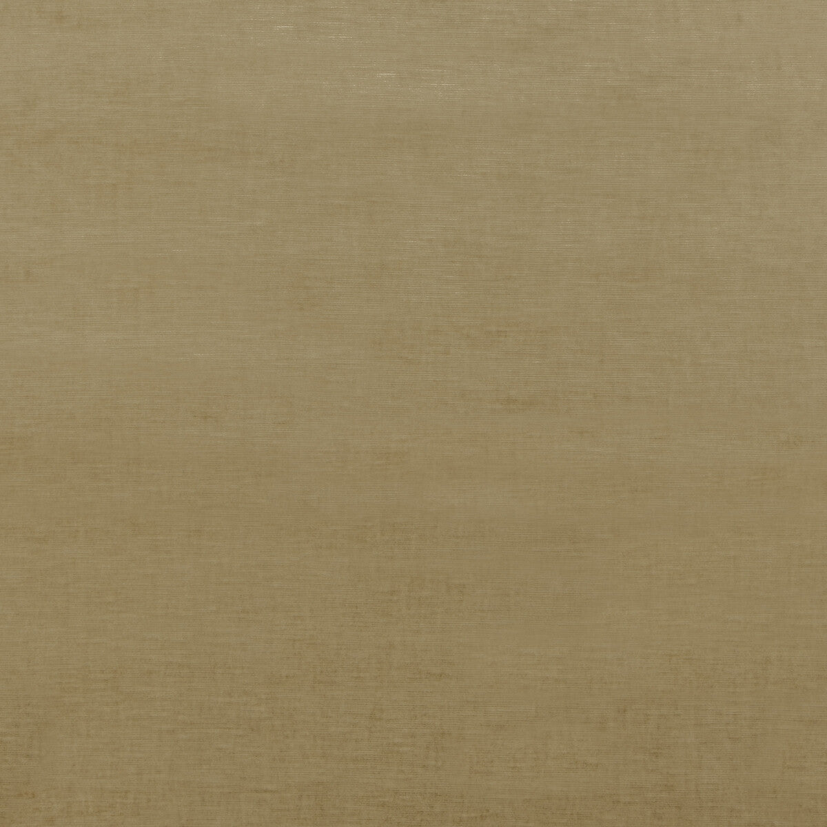 Meridian Velvet-Camel