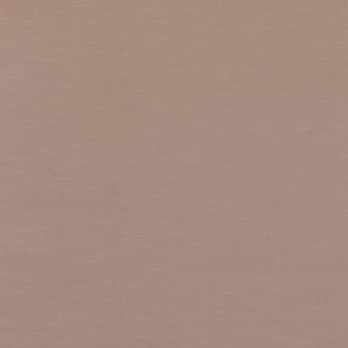 Quintessential Velvet-Plaster