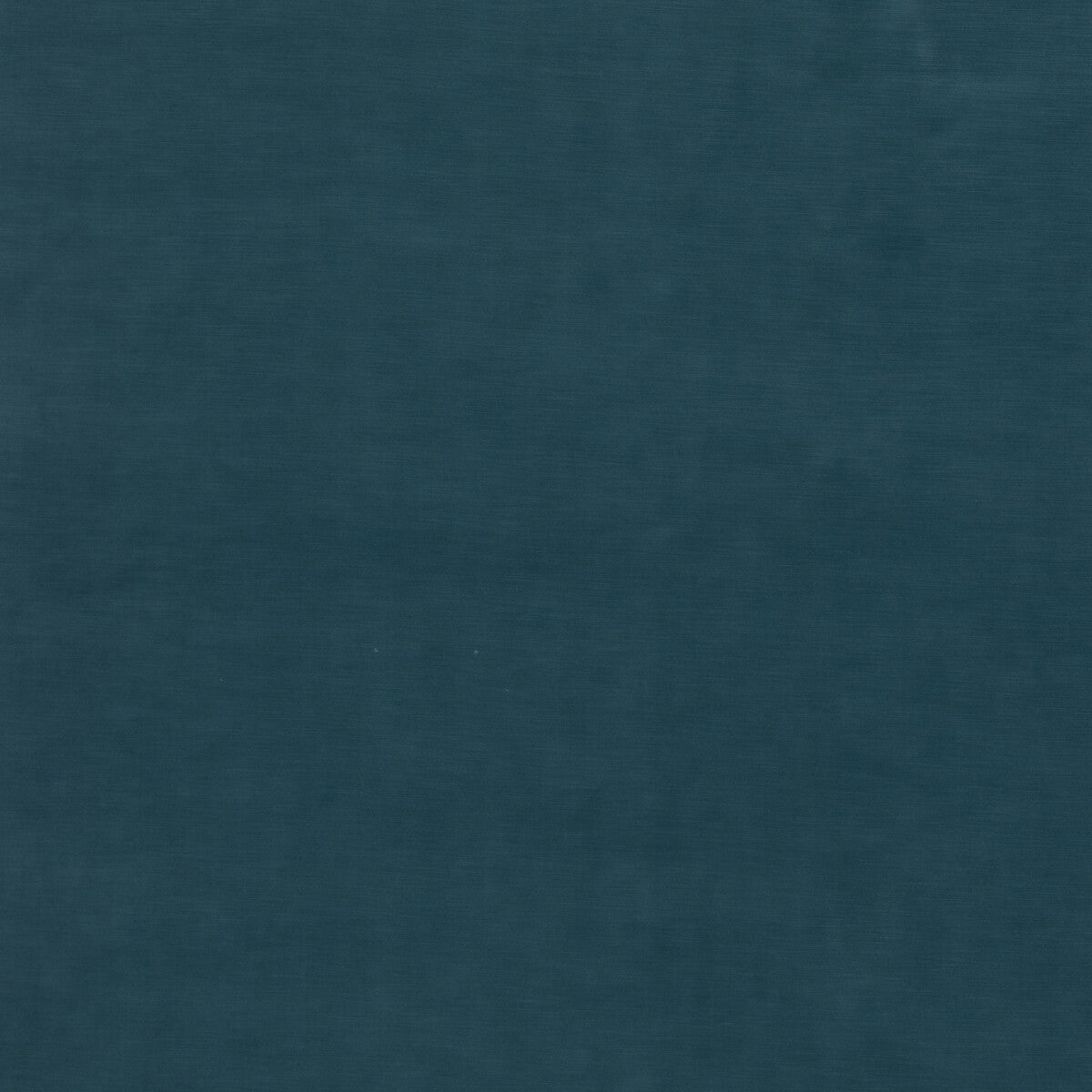 Quintessential Velvet-Kingfisher