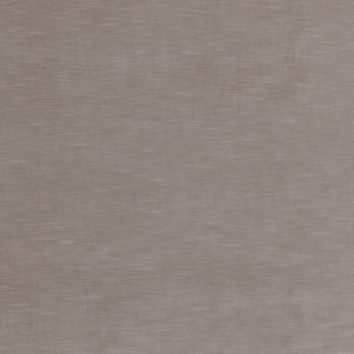 Quintessential Velvet-Ash