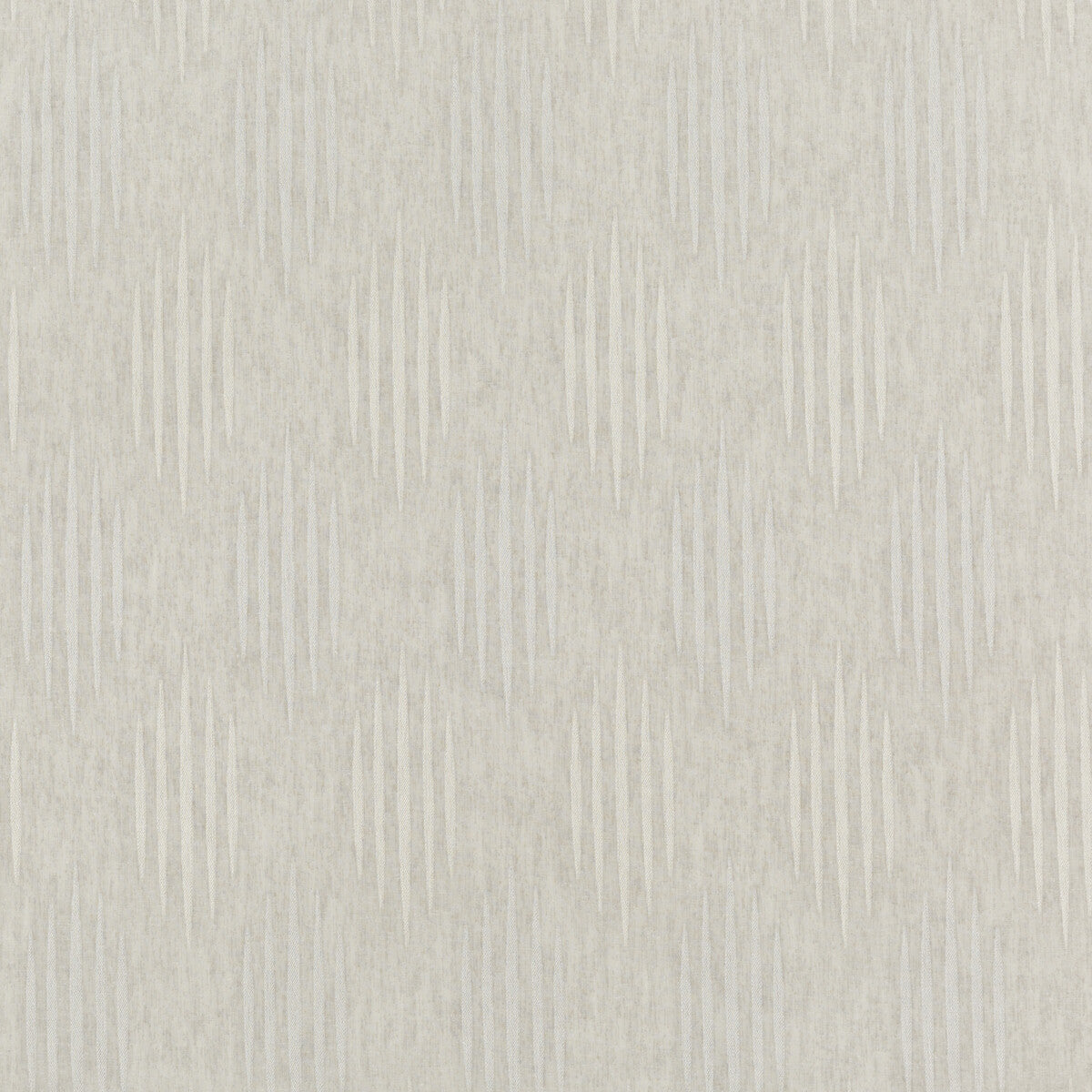 Windward Stripe-Dove Grey