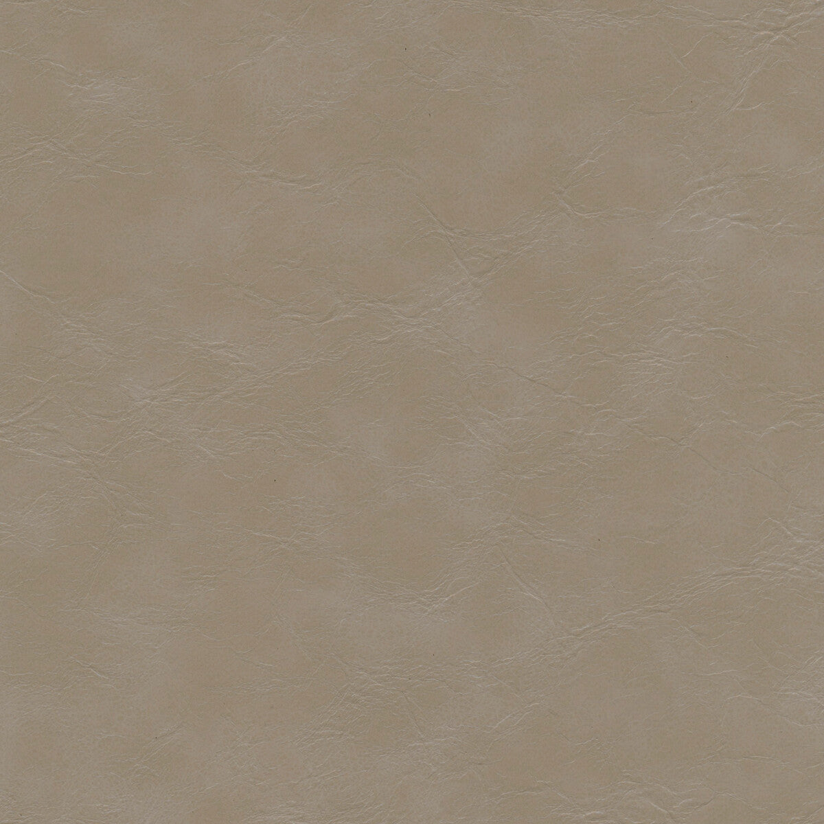 Kravet Design-Equine-11