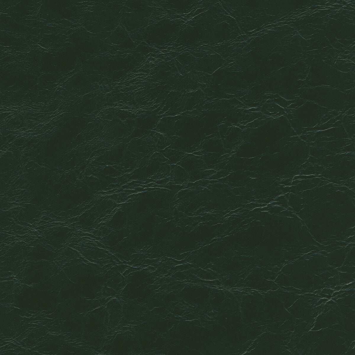 Kravet Design-Equine-3