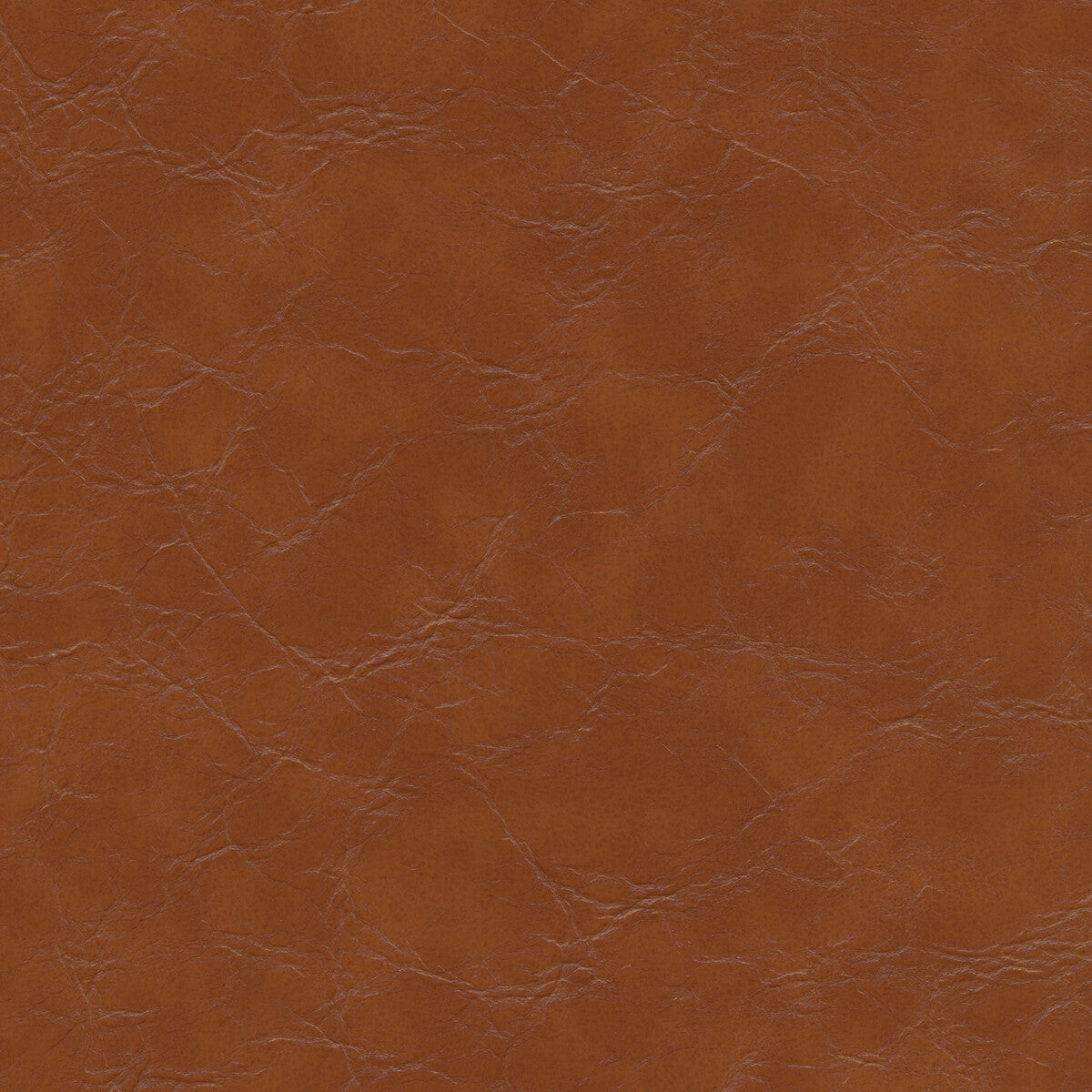 Kravet Design-Equine-606