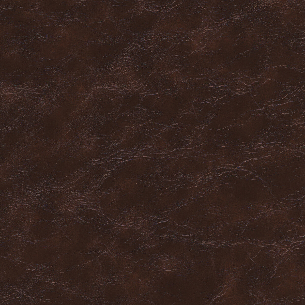 Kravet Design-Equine-66