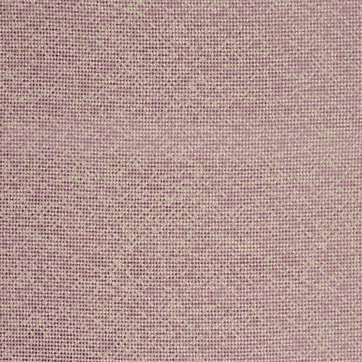 Beauvoir-Orchid