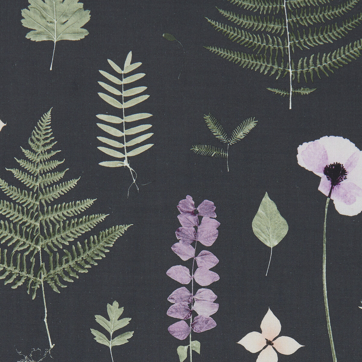 Herbarium-Heather/Ebony