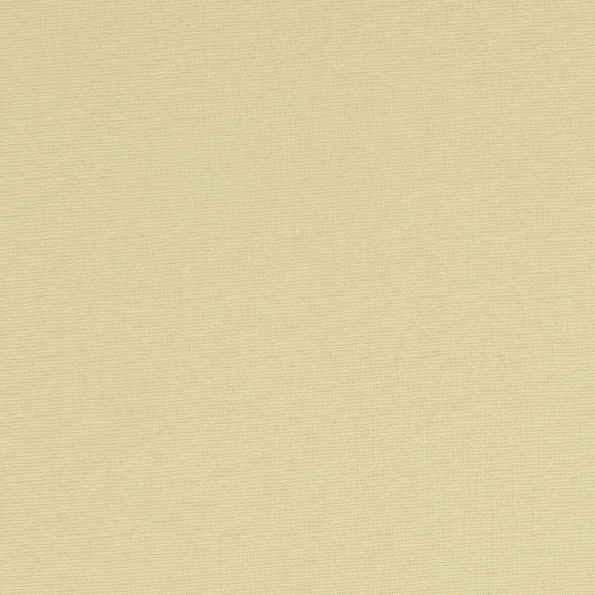 Alora-Straw