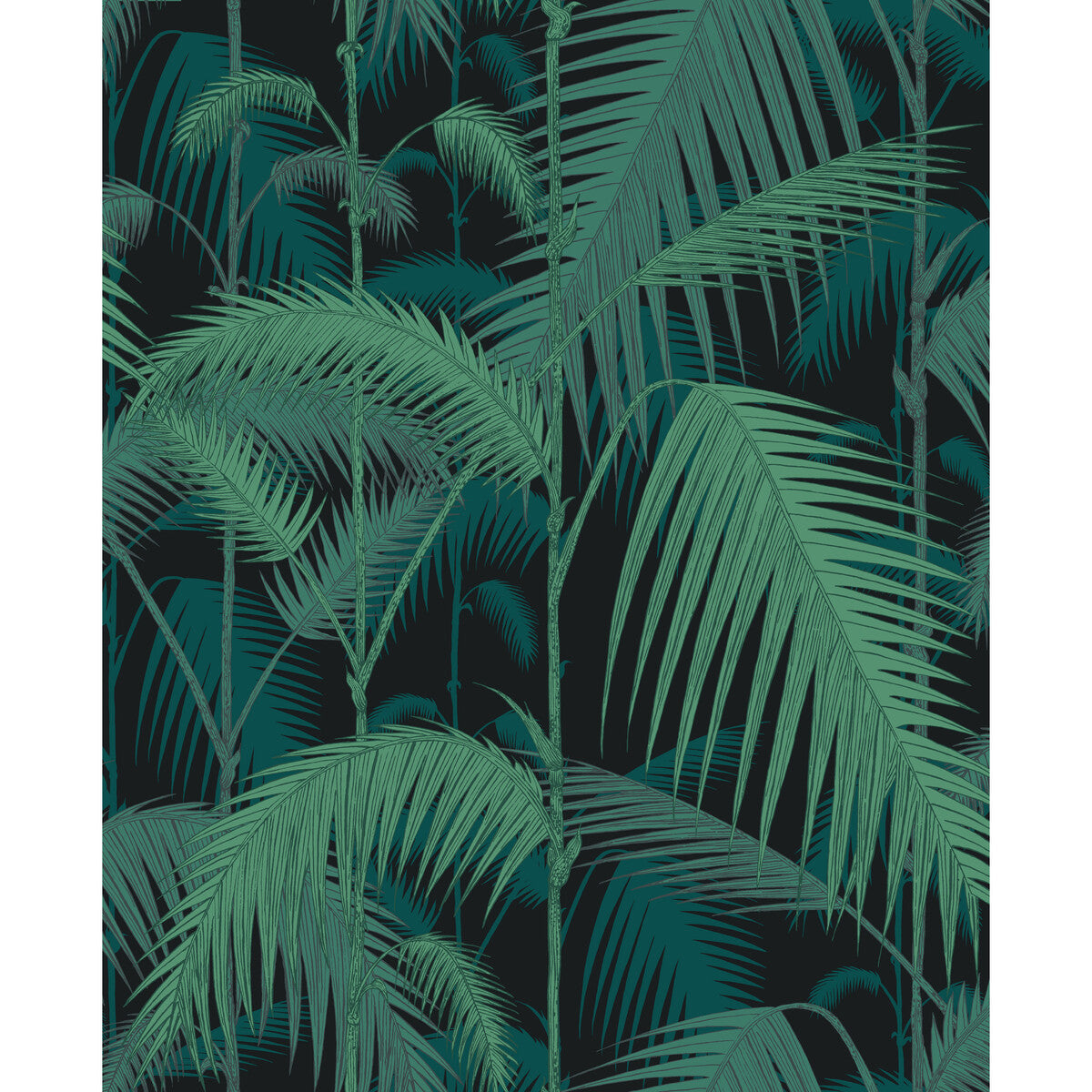 Palm Jungle Velvet Print-Viri/Pet On Blk