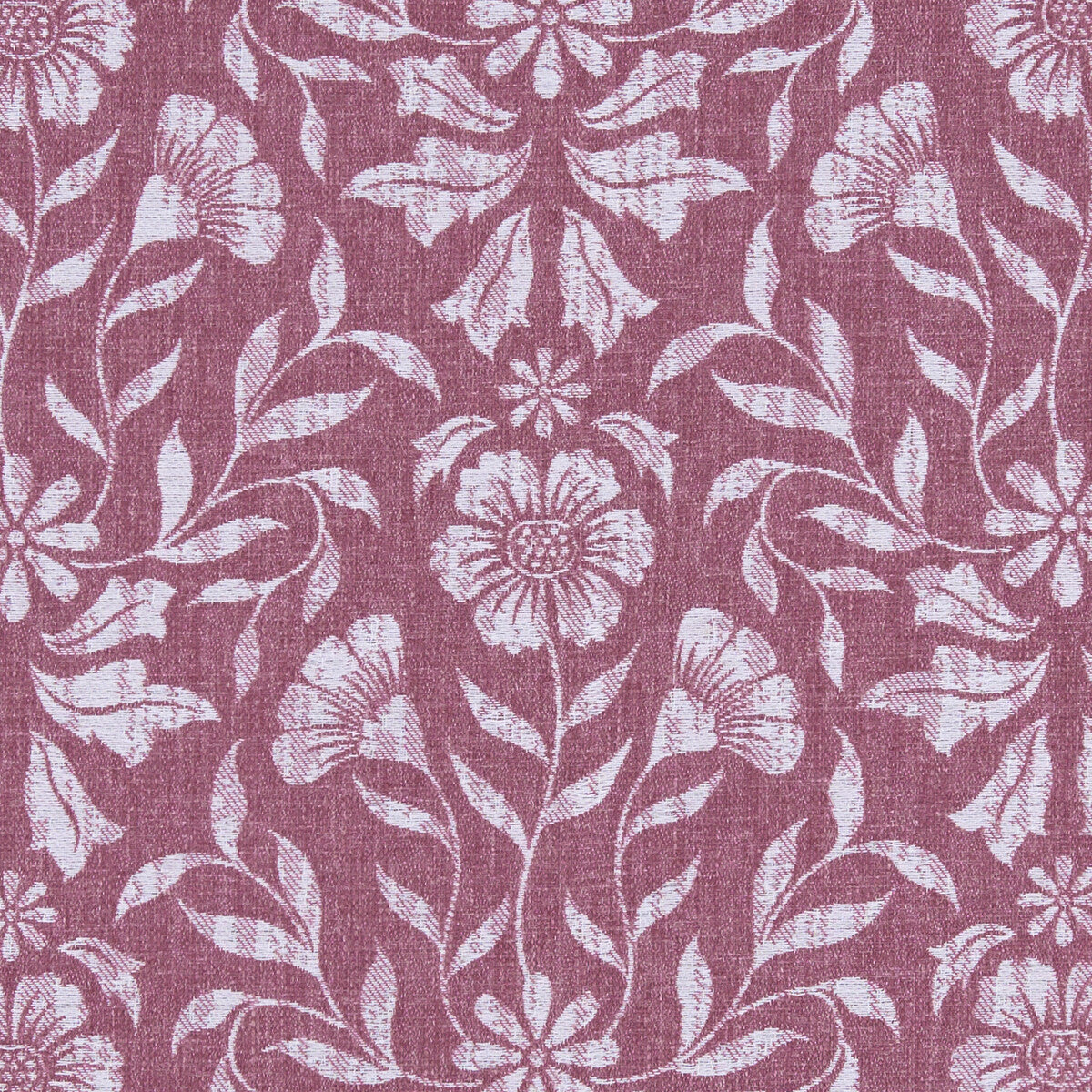 Berkeley-Raspberry