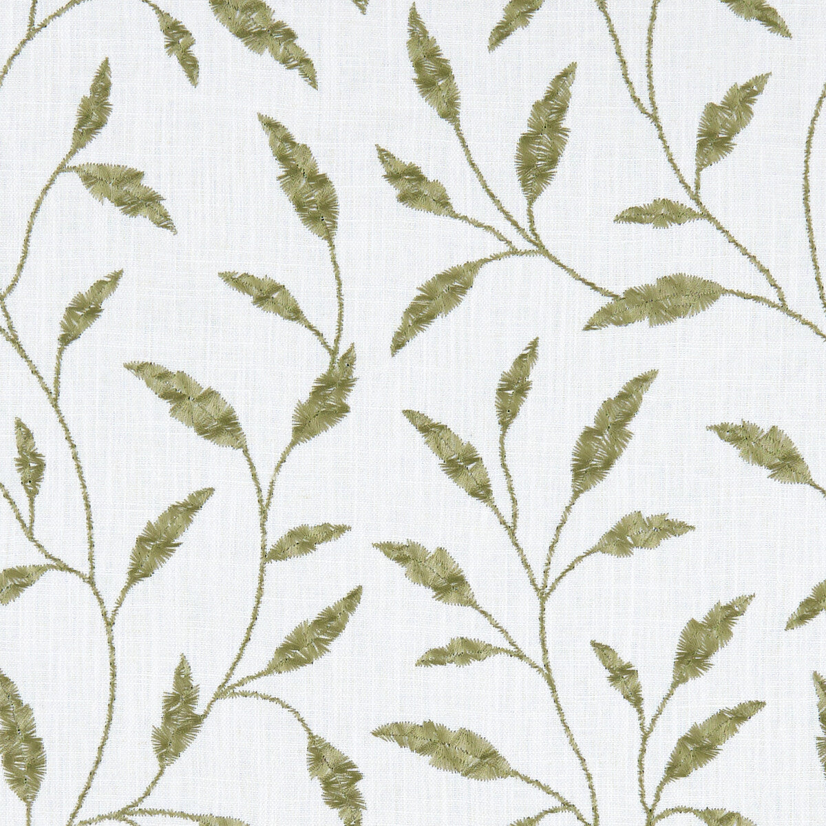 Fairford-Olive