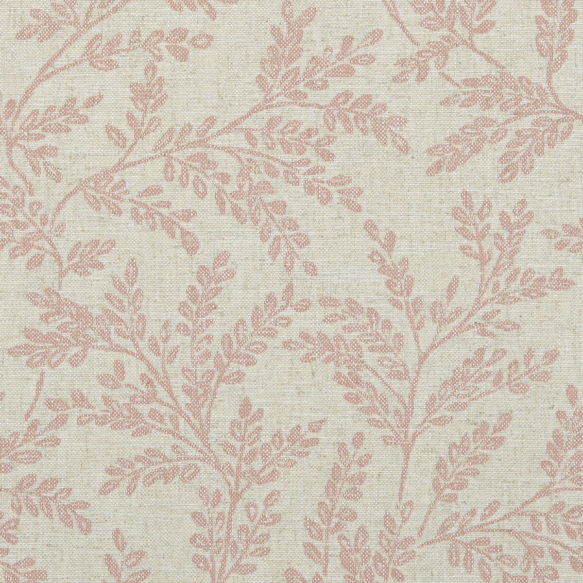 Ferndown-Blush