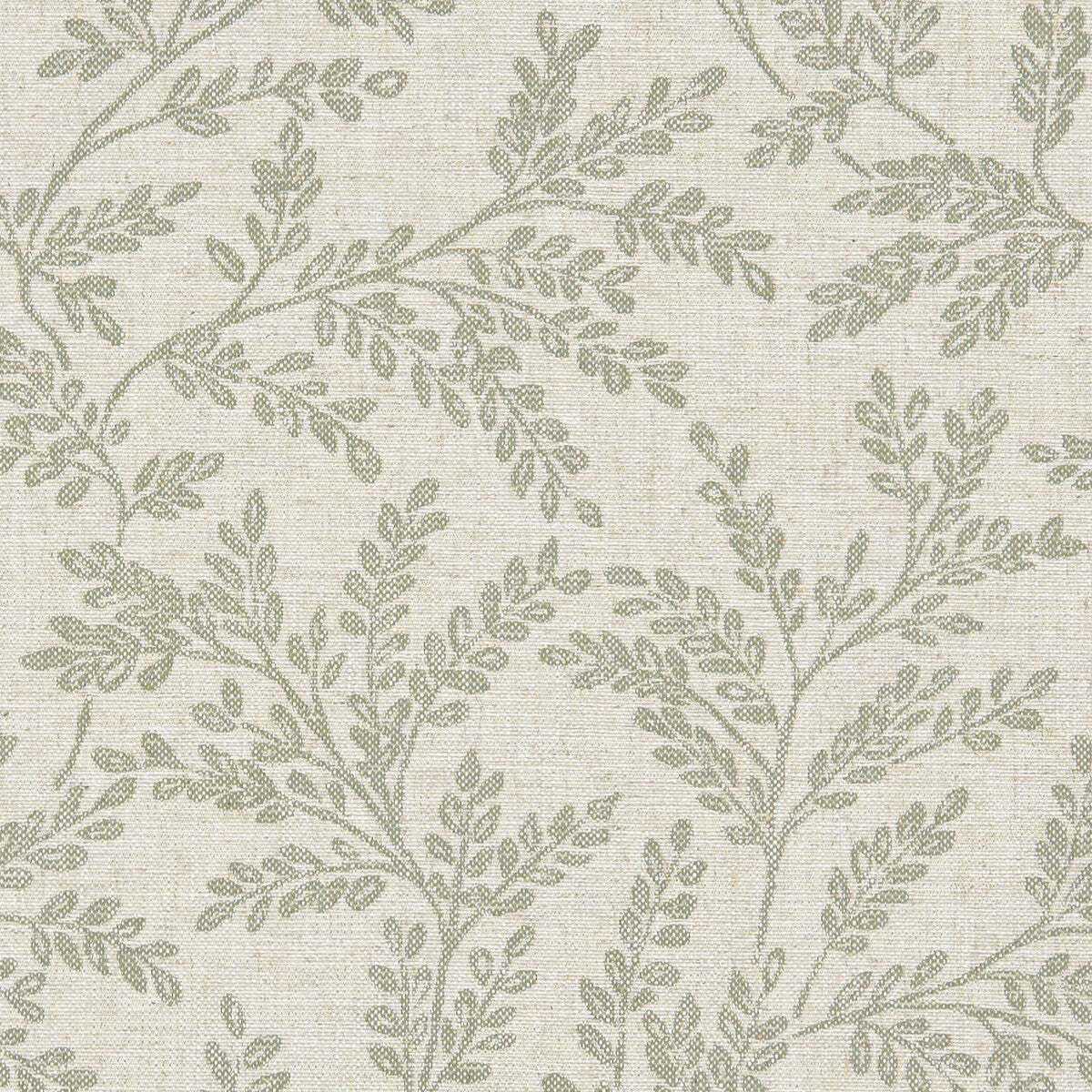 Ferndown-Sage