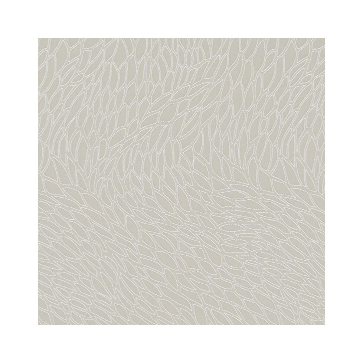 Corallino-Champagne