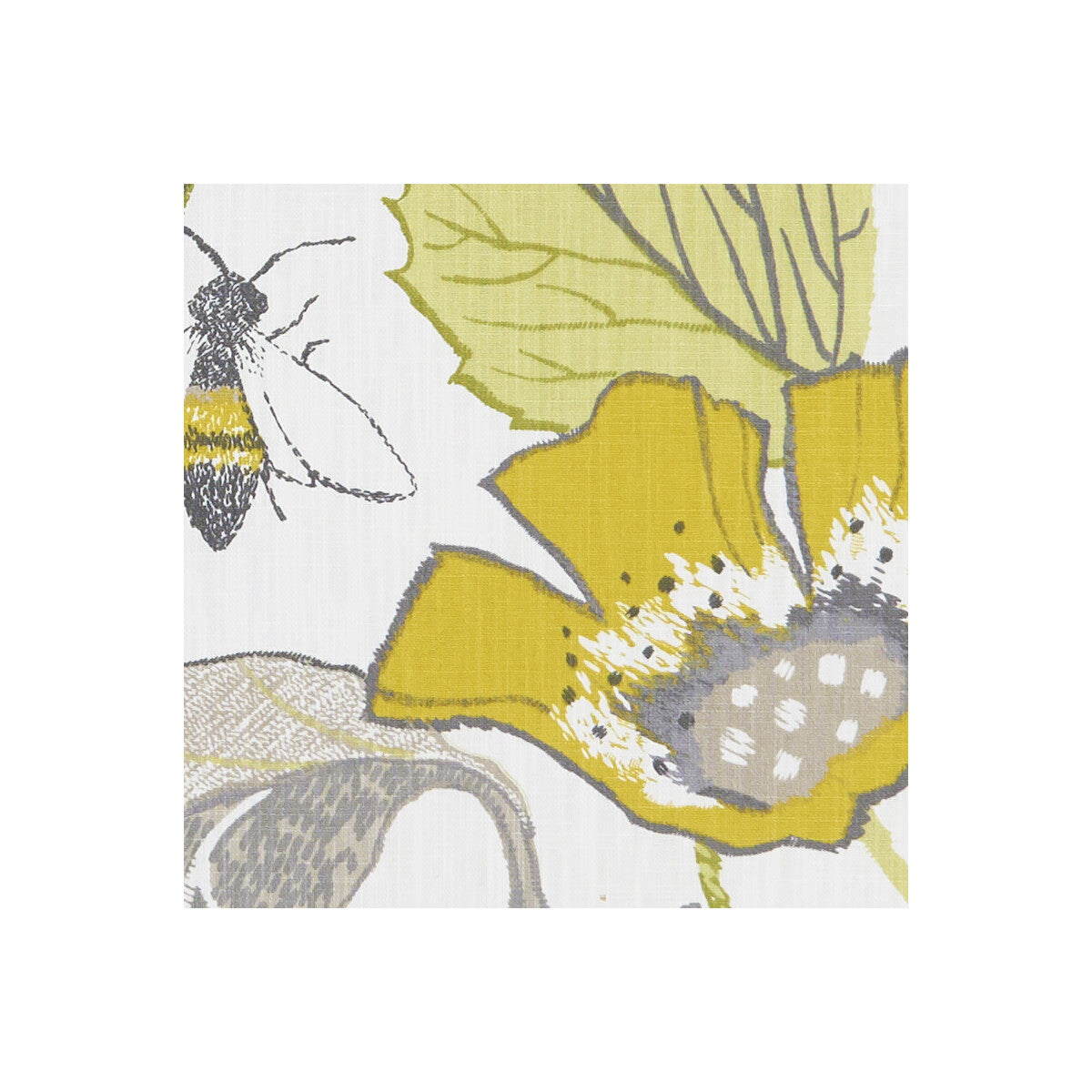 Lotus-Chartreuse/Charcoal