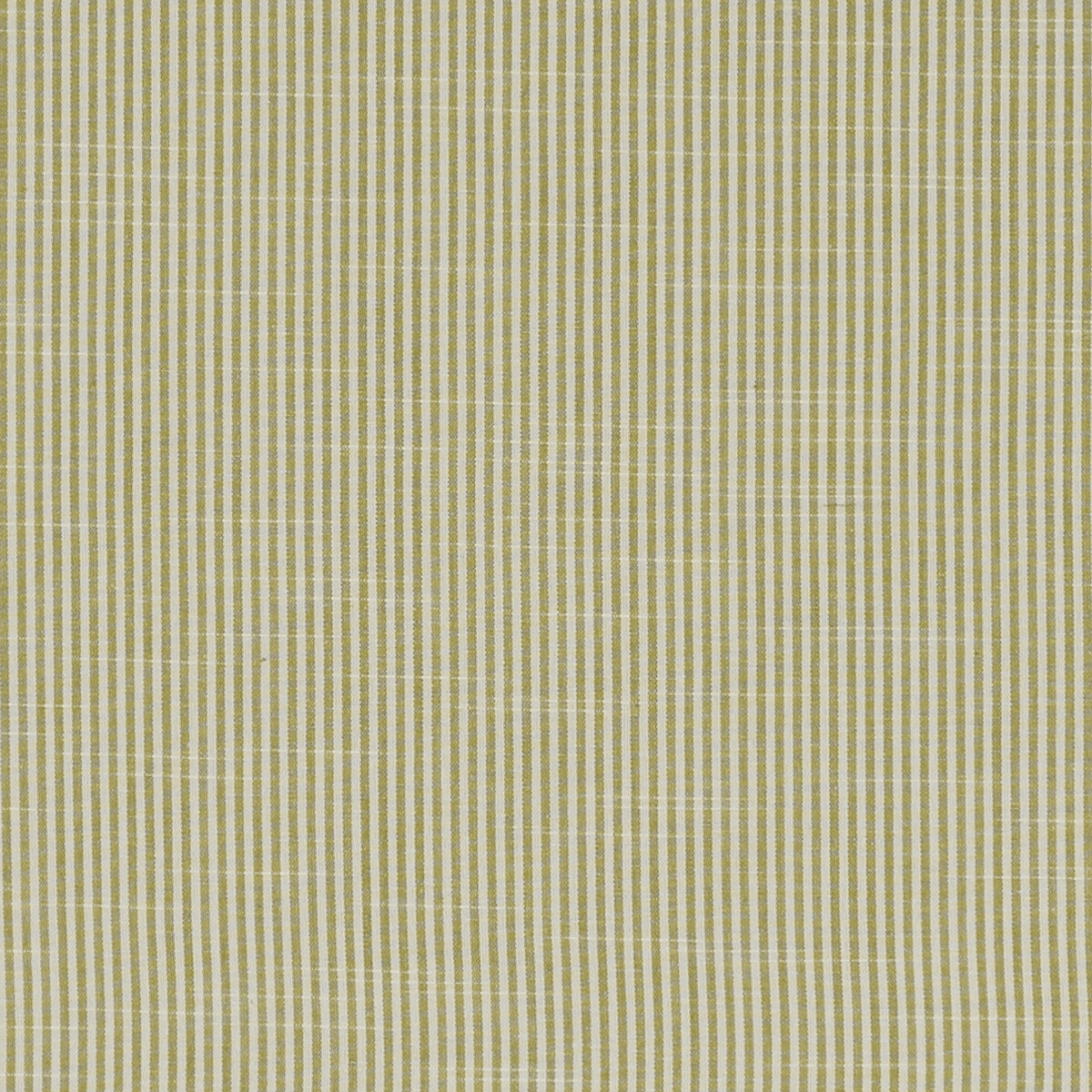 Bempton-Olive