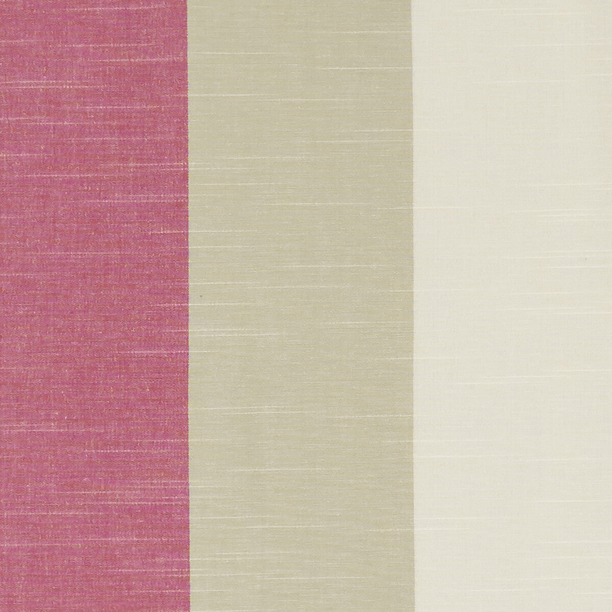Buckton-Fuchsia