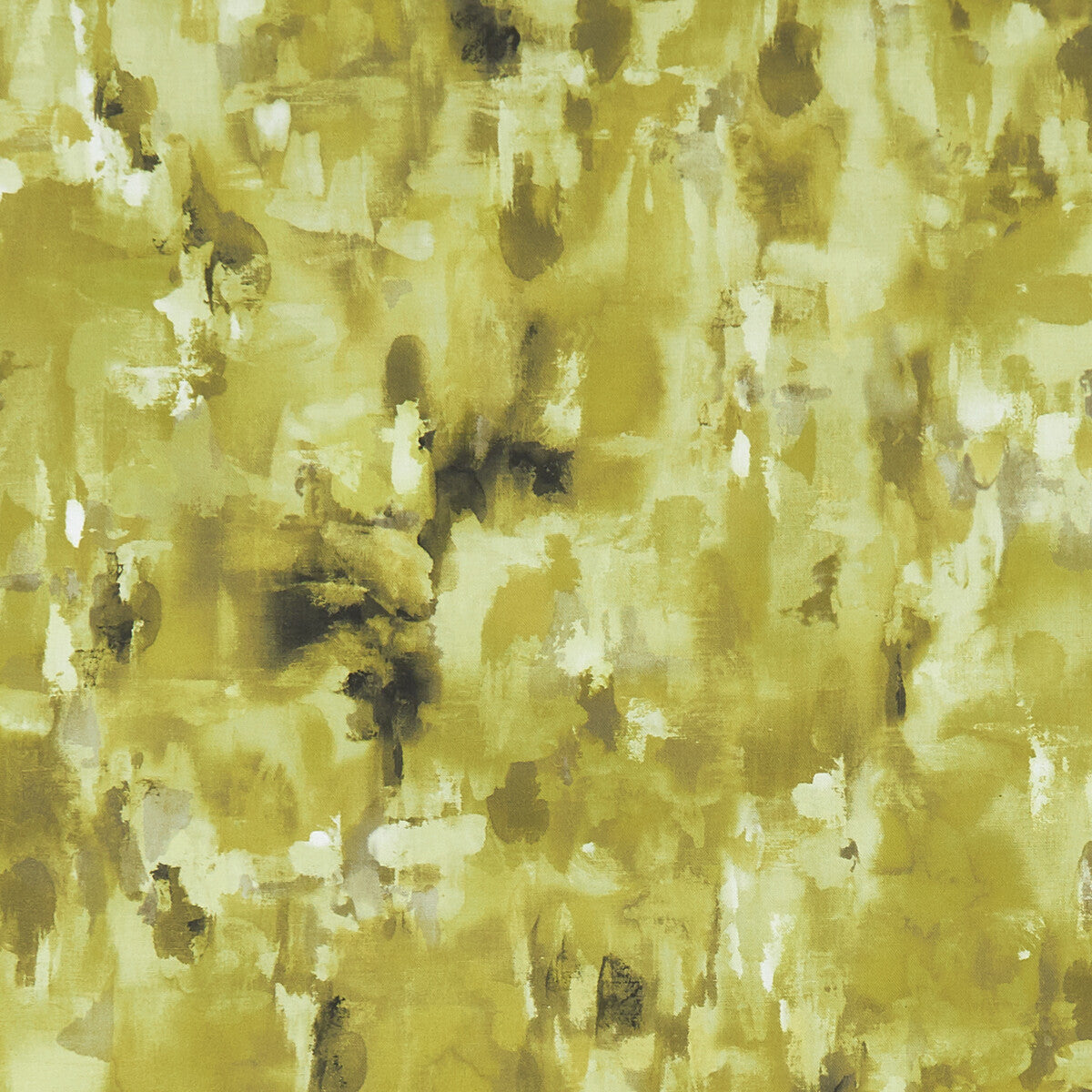 Impasto-Citrus